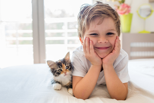 Portrait of smiling small boy lying on the bed and enjoying a day at home with his kitten.