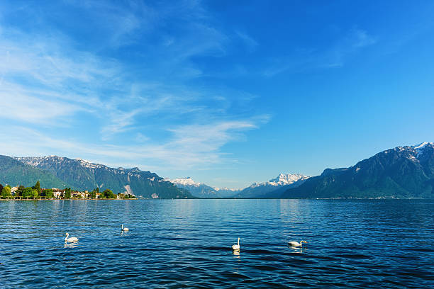 istock Beautiful Geneva lake at Vevey in summer 604334900