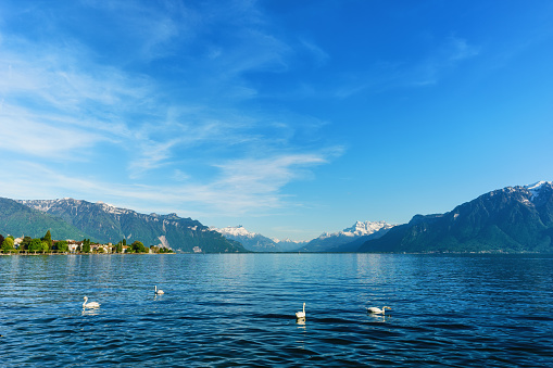 Scenic and landscape of lake Vevey at Geneva Switzerland, Beautiful Geneva lake at Vevey in summer