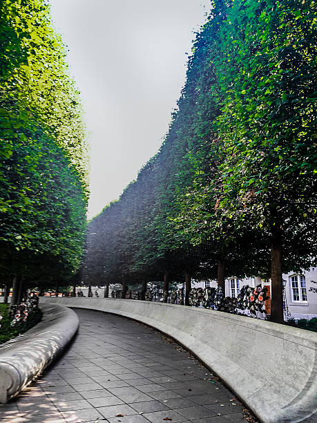 istock curved hedges in fancy garden 604336714