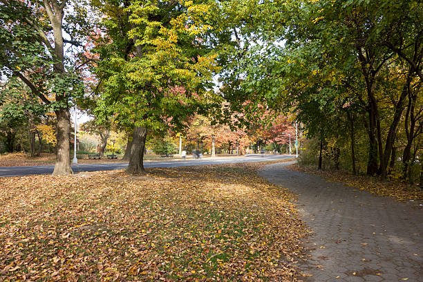 istock Autumn at Prospect Park 604336808