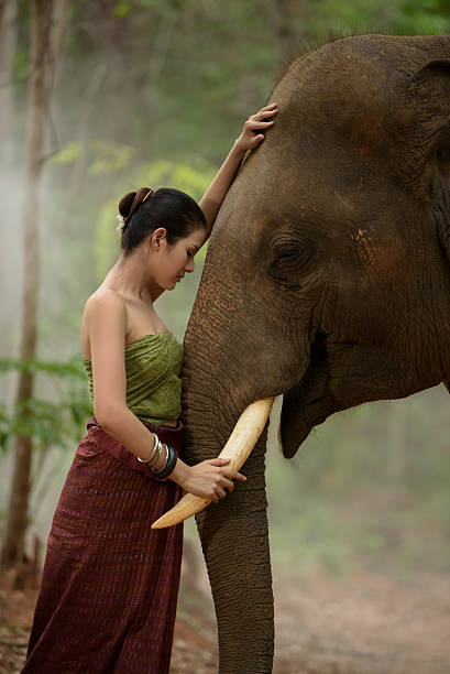 istock beautiful girl with elephant 604338962