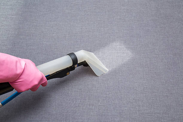 istock Textile sofa chemical cleaning with professionally extraction method. Upholstered furniture. 604341184