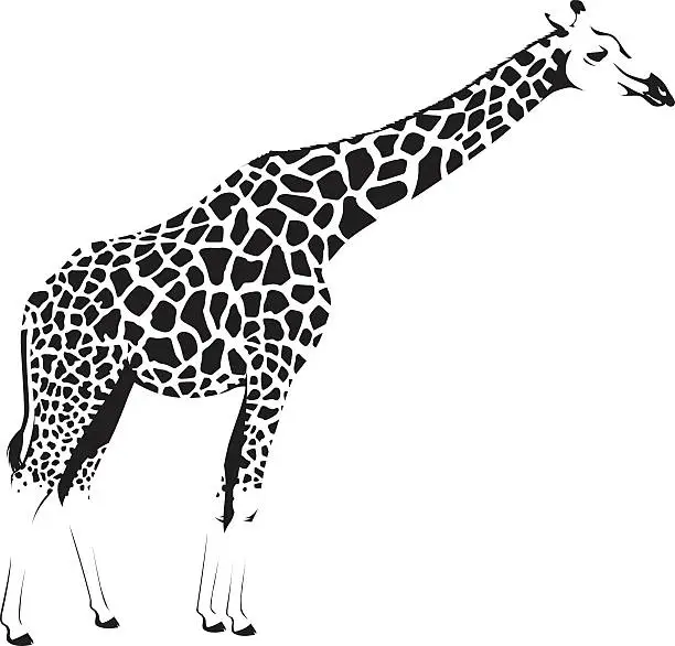 Vector illustration of Wild African Giraffe