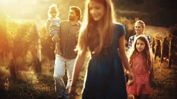 Closeup of family with three daugthers walking throu their vineyard on a late summer afternoon. Girls are aged 9, 5, and 2. The youngest is held by dad. They are enjoying spare time in their hard earned small business.