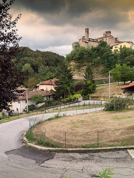 istock Barolo, Vineyard in medieval town 604348230
