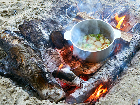 cooking on fire at picnic, food prepared in kettle on wood, potatoes and tomatoes, healthy vegetarian food
