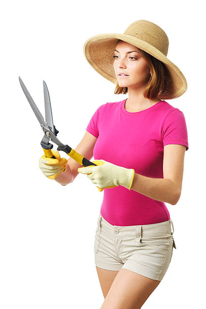 istock Woman gardener with hedge shears on white 604349882