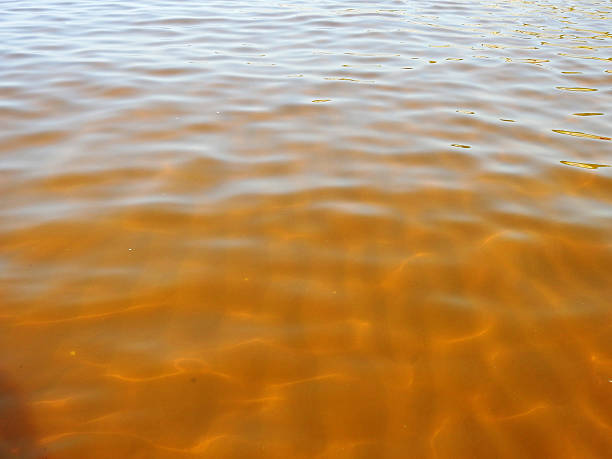 istock Standing near to water. 604350140