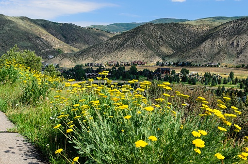 A path with view of beautiful Avon, Colorado in summer.