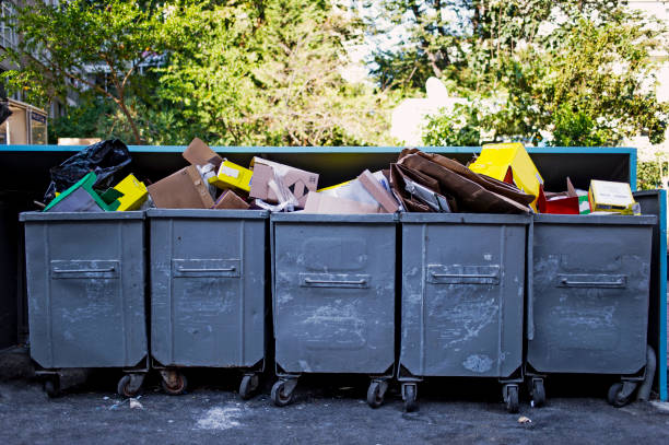 istock Garbage Bin Near The Park, Istanbul, Turkiye 604351474