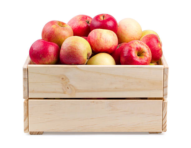 boîte en bois pleine de pommes fraîches isolées - caisse en bois photos et images de collection