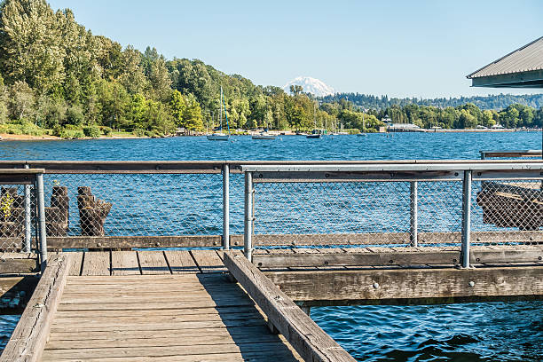 istock Coulon Park Shoreline 4 604353512