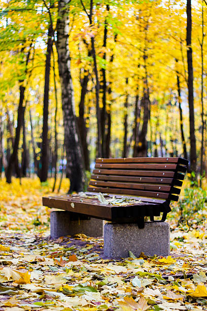 istock leaves on wooden bench 604354460