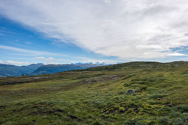 istock Colorful summer landscape with mountains in Norway. 604355430