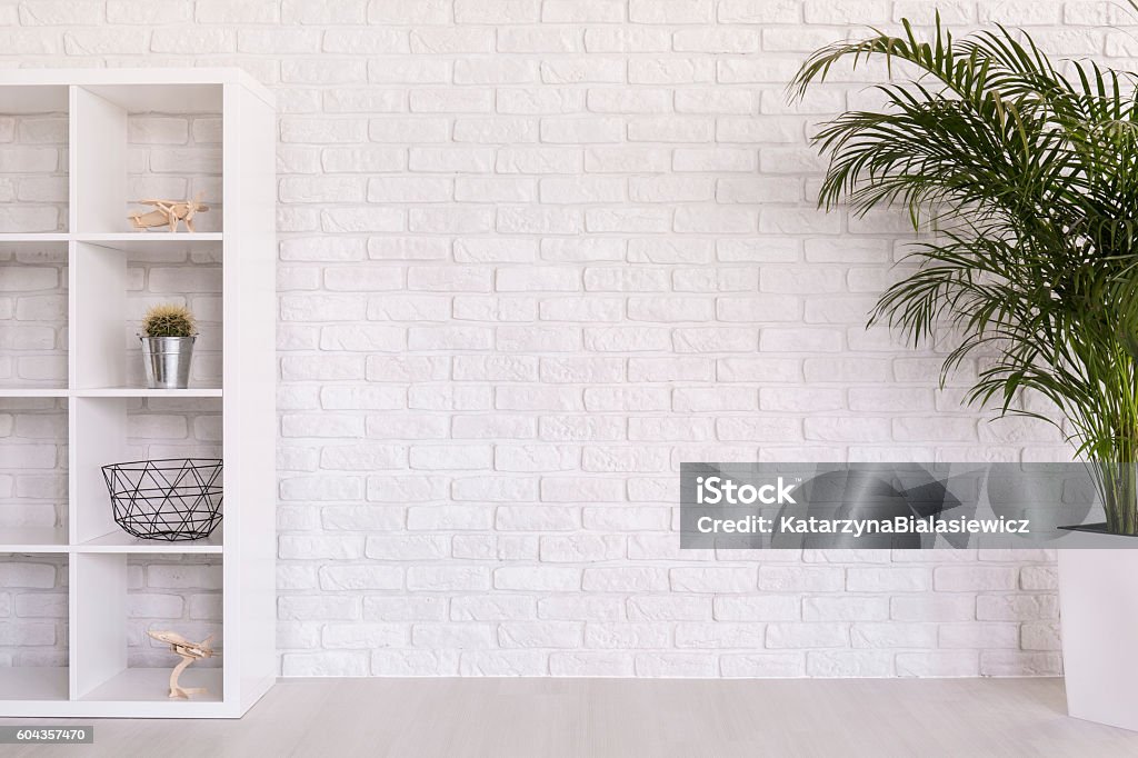 Simple colour palette Shot of a white modern room with a plant and a bookcase Apartment Stock Photo