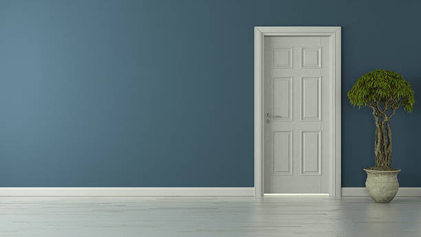 closed american door with blue wall - vase texture stockfoto's en -beelden