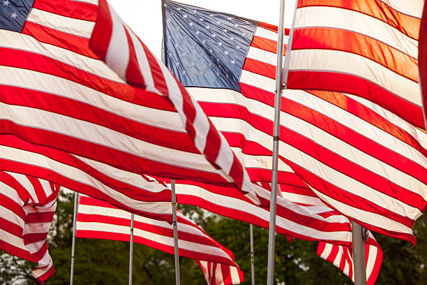 istock American flags on a brisk sunny day. 604363806