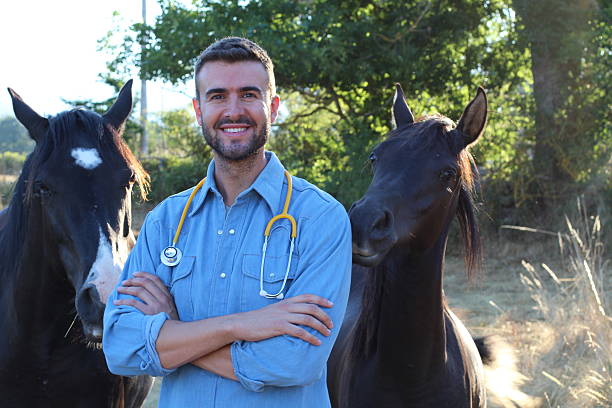 istock Veterinarian standing beside horses at ranch 604364236