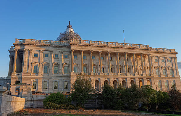 istock Back view at the United States Capitol 604364288