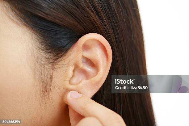 Frau Ohr Stockfoto und mehr Bilder von Ohr - Ohr, Massieren, Frauen