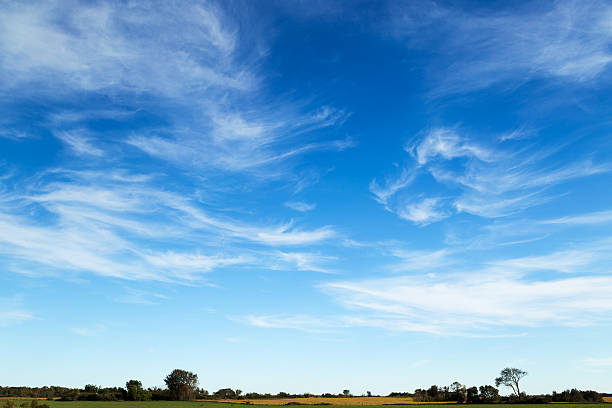 istock Wispy Cirrus Clouds in Blue Sky Over Rural Landscape 604367308