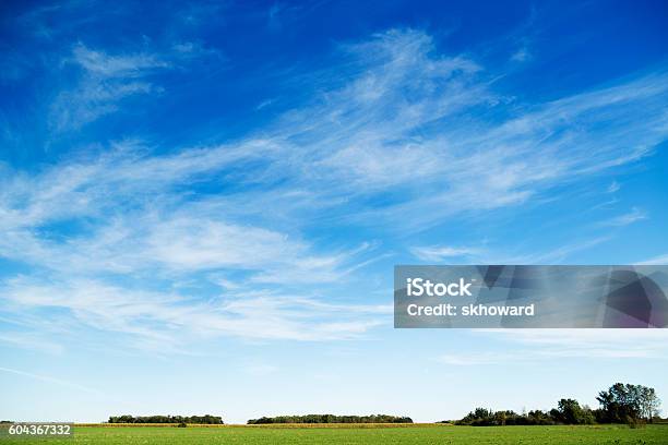 Wispy Cirrus Clouds In Blue Sky Over Rural Landscape Stock Photo - Download Image Now