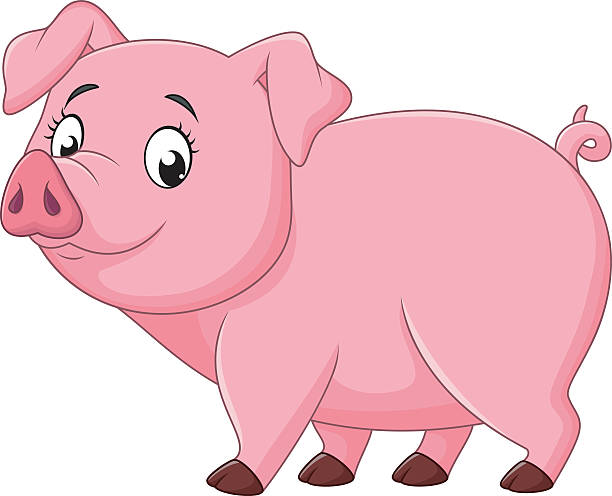 Cartoon Happy Pig Isolated On White Background Stock Illustration -  Download Image Now - Pig, Cartoon, Cute - iStock