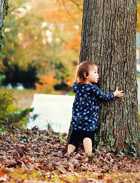 istock Toddler girl hugging a tree outside in autumn 604370398
