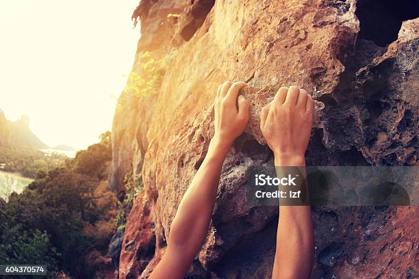 海辺の山の崖の岩に登るロッククライマーの手 - クライミングのストックフォトや画像を多数ご用意 - クライミング, 登山, 粘り強さ