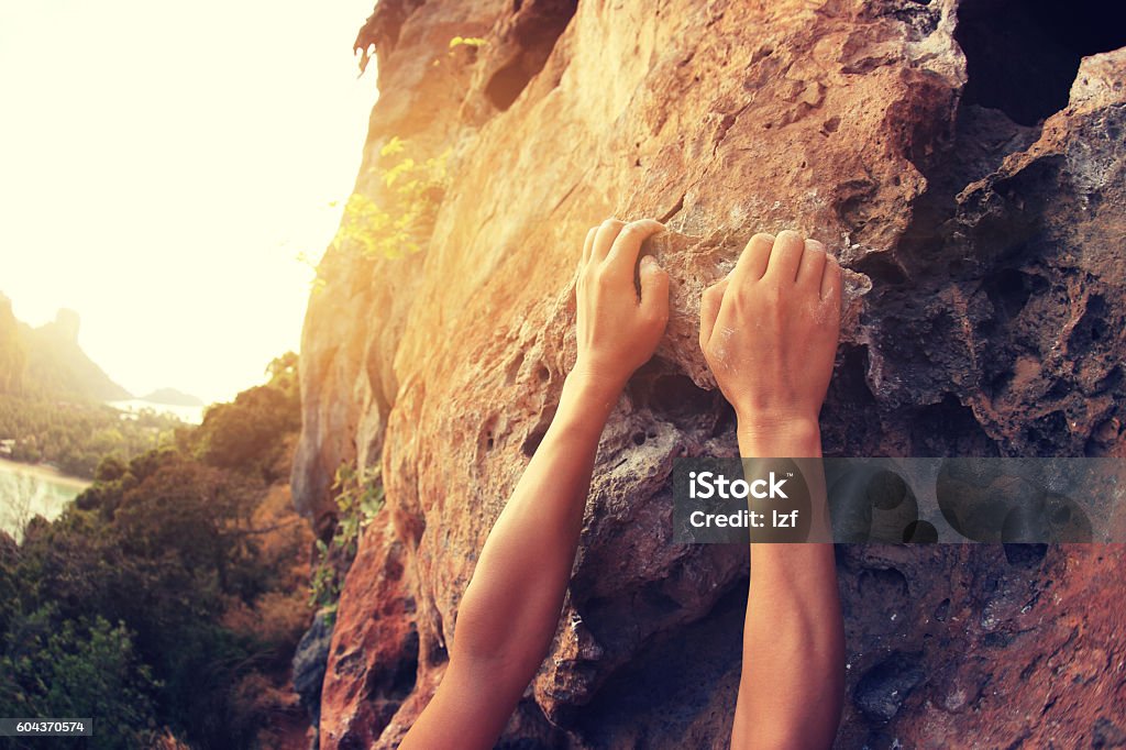 rock climber hands climbing at seaside mountain cliff rock young woman rock climber hands climbing at seaside mountain cliff rock Climbing Stock Photo