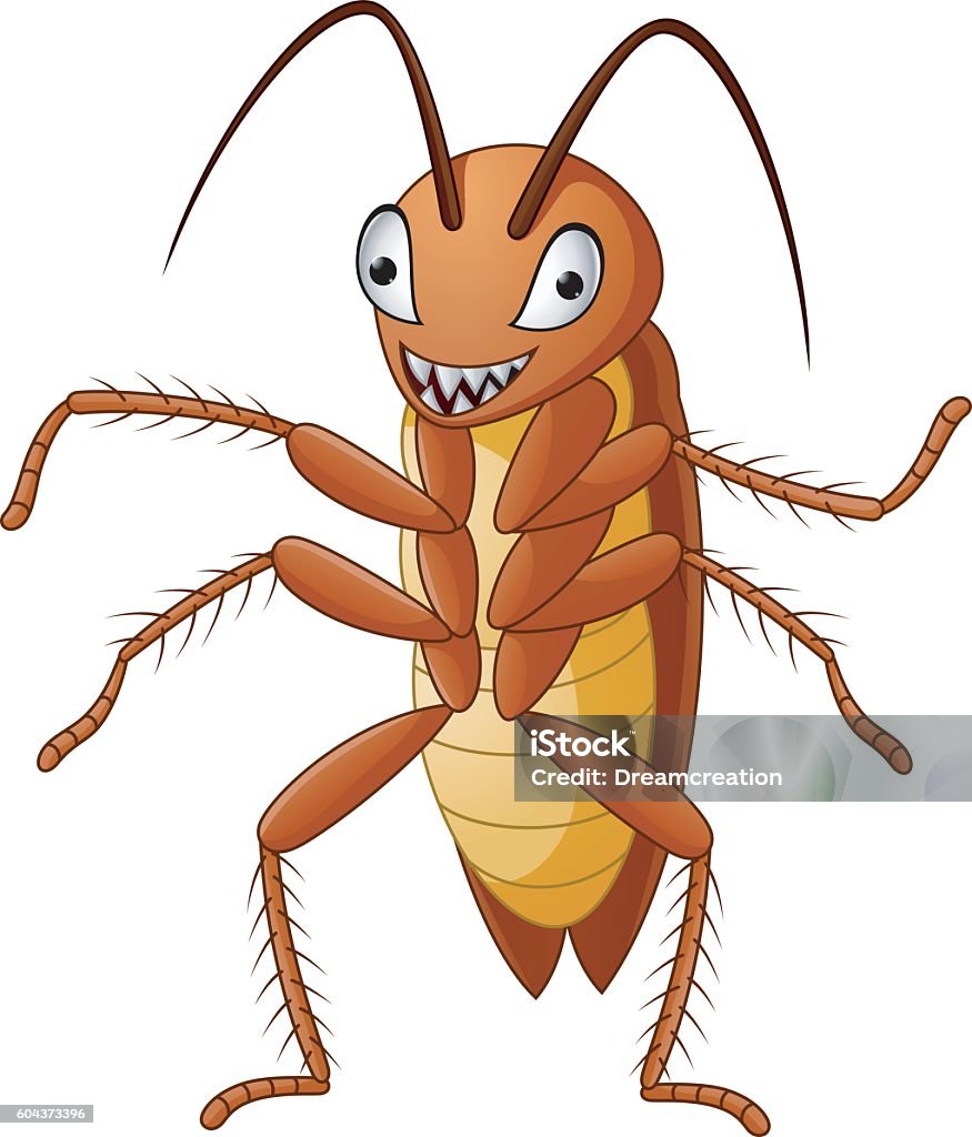 Little Cockroach Pfp Cute Cockroach Isolated On White Background Stock Illustration ...