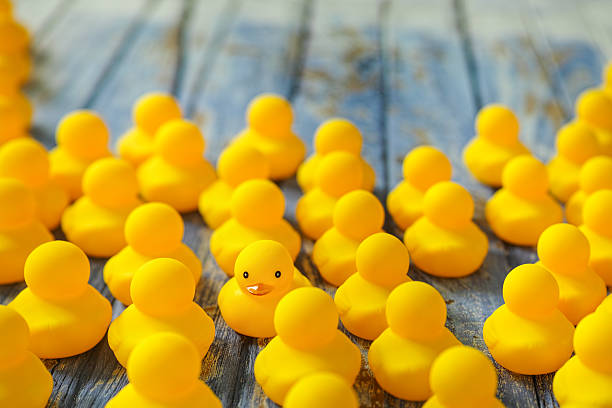 istock Crowd of rubber ducks, one going in the opposite direction. 604374114