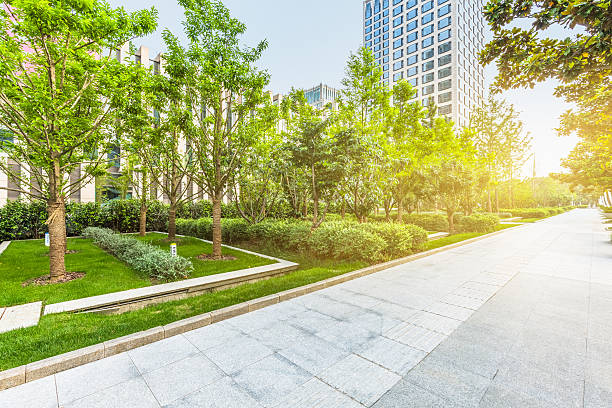 istock beautiful park at a sunny day,shanghai,china 604374870