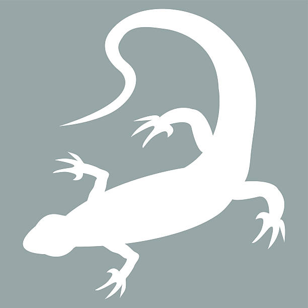 ilustrações, clipart, desenhos animados e ícones de ícone estilizado de lagarto em branco em um fundo colorido - lizard