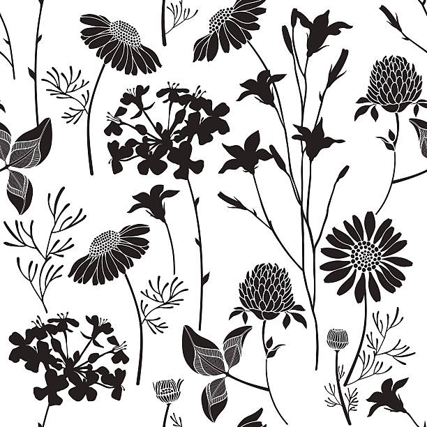 illustrations, cliparts, dessins animés et icônes de motif sans couture avec des silhouettes de fleurs sauvages sur fond blanc. - campanula bluebell backgrounds white