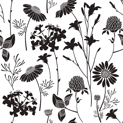 Vector background with silhouettes of wild flowers.  Black and white vector hand-drawn illustration.