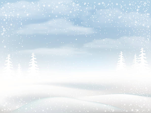 зимний снежный сельский пейзаж - winter non urban scene snow snowflake stock illustrations