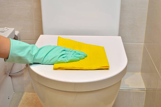 istock cleaning the water closet 604821256