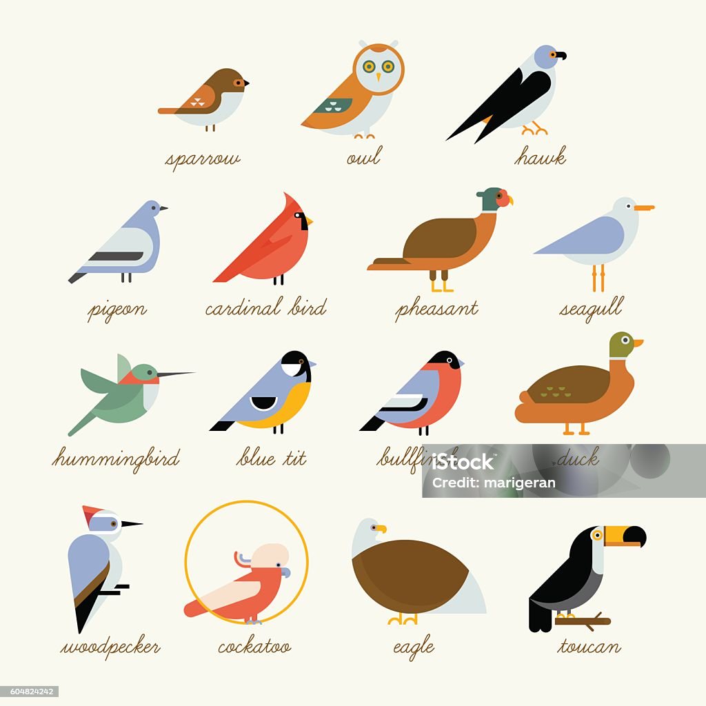 Bird icon collection Bird icon collection. Different birds species like: owl, toucan, hummingbird, bullfinch and more vector illustration birds Sparrow stock vector