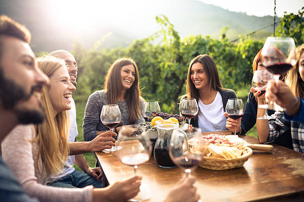amigos brindando con vino tinto después de la cosecha - outdoors drinking women friendship fotografías e imágenes de stock