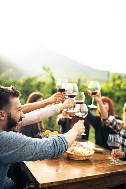 istock friends toasting with red wine after the harvesting 604828018