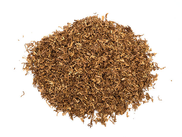 istock Heap of dry soft Pipe Tobacco 604849952