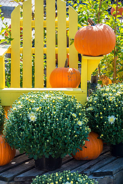 istock Pumpkins, mums, and Adirondak chair- a fall scene 604851752