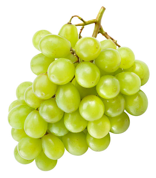istock Fresh green grapes isolated on white. With clipping path. 604861628