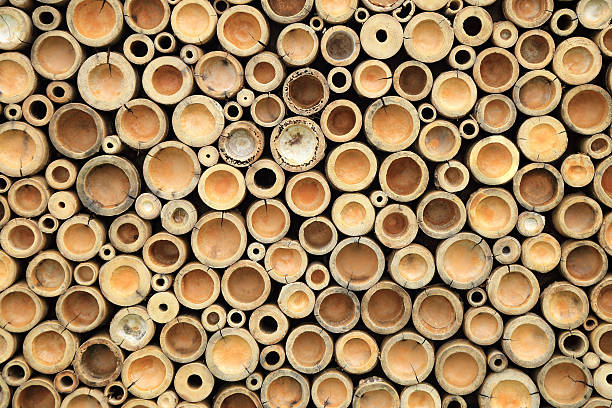 Crosscut of bamboo for background.