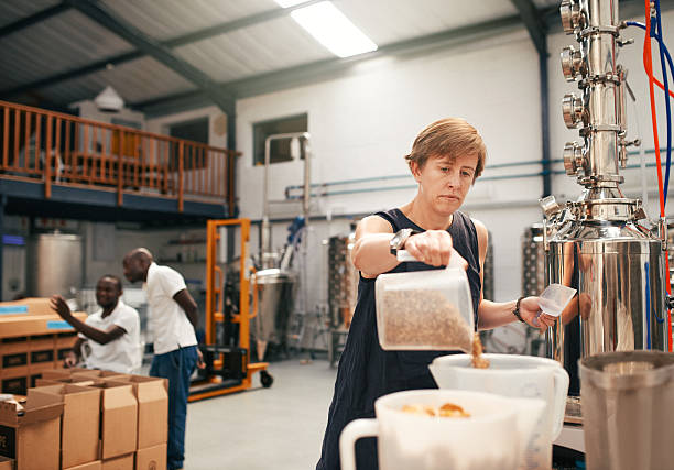 wielki gin zaczyna się od świetnego jęczmienia - brewery beer barley cereal plant zdjęcia i obrazy z banku zdjęć