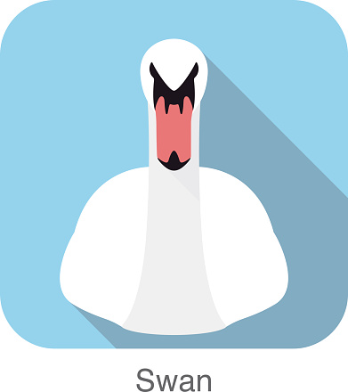 swan vector icon, front face, vector illustration