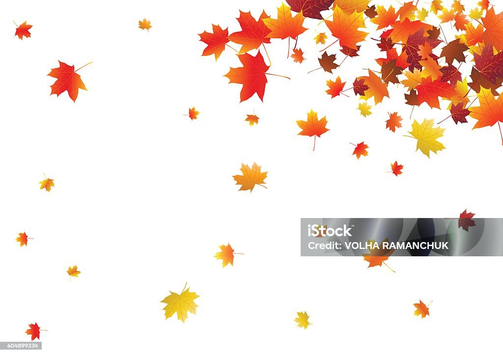 Abstrakter Hintergrund mit fliegenden Ahornblättern. - Lizenzfrei Blatt - Pflanzenbestandteile Vektorgrafik