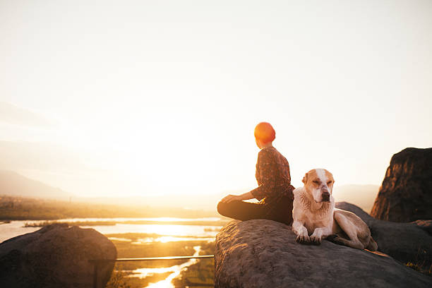 istock Young girl doing yoga 604903696